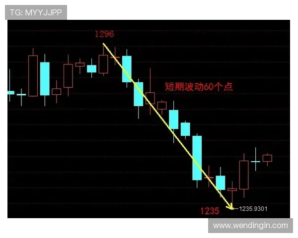 问鼎官方首页，深度解析行业趋势助你把握先机