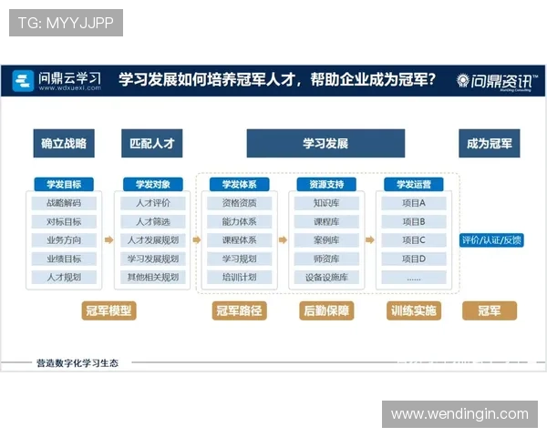 问鼎国际网页版：成功案例分享：国际网页游戏如何实现盈利模式创新与市场占有率提升