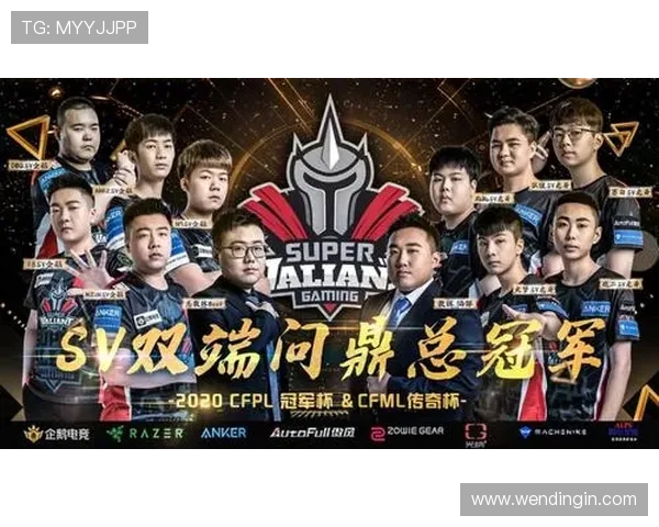 问鼎平台官网入口官方入口登录流程详解，助你快速顺利进入游戏体验