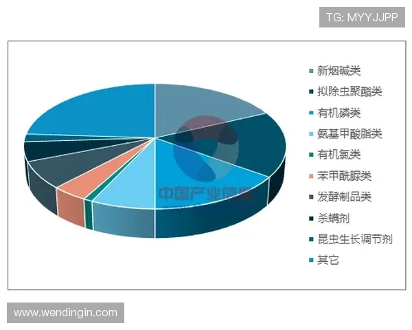 问鼎中国官网:深度剖析中国游戏市场的未来发展趋势
